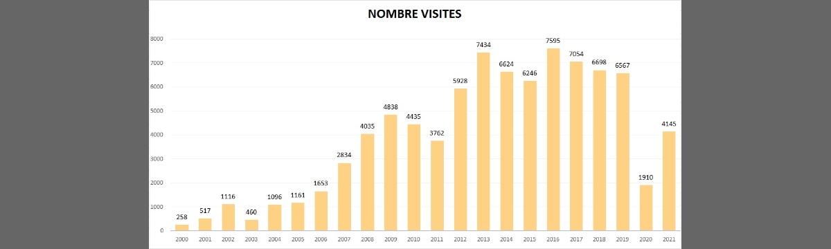 Balanç de Visites Anuals (2000-2021)